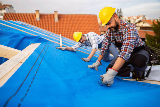 Best Gutter Installation and Roofing  in Riceville, TN