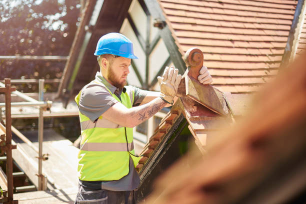 Best Roof Maintenance Services  in Riceville, TN